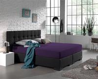 Homecare Hoeslaken Dubbel Jersey 220 gr. Purple Paars 190/200 x 220/230
