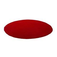 Beliani DEMRE Vloerkleed Rood Polyester 80 x 150 cm