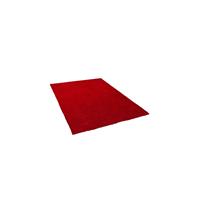 Beliani DEMRE Vloerkleed Rood Polyester 80 x 150 cm