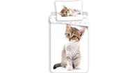 animalpictures Animal Pictures Kitten Dekbedovertrek - Eenpersoons - 140 x 200 cm - Wit