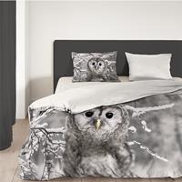 goodmorning Good Morning Owl - Verwarmend Flanel 2-persoons (200 x 200/220 cm + 2 kussenslopen) Dekbedovertrek