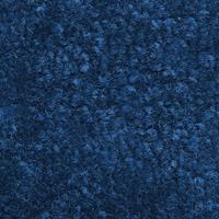 Vuilvangmat voor binnen, pool van polypropyleen, l x b = 1500 x 900 mm, blauw
