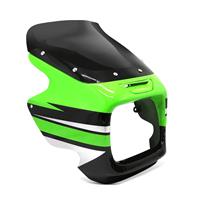 Zaddox Lampenmaske für Kawasaki ZRX 1200 R 01-07 Lichtmaske mit Windschild 