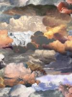 Moooi Carpets Walking on Clouds Dusk - 250x250 cm
