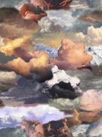 Moooi Carpets Walking on Clouds Dawn - 250x250 cm