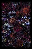 Moooi Carpets Fool's Paradise - 200x300 cm