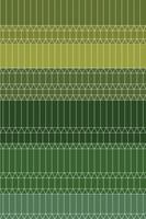 Moooi Carpets Zigzag Green - 200x300 cm