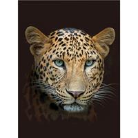 Wohndecke Leopard