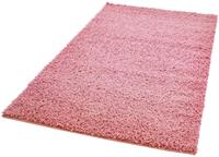 Carpet City Hoogpolig vloerkleed Pastel Shaggy300 pastelkleuren, woonkamer