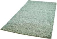 Carpet City Hoogpolig vloerkleed Pastel Shaggy300