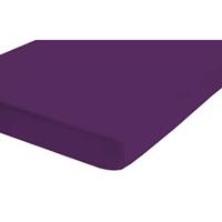 Castell Jersey-Stretch Spannbettlaken 180x200 cm - 200x200 cm Dunkel Violett