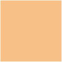 WäSCHEFABRIK KNEER E.K. Kneer Edel-Zwirn-Jersey Spannbetttuch für Matratzen bis 22 cm Höhe Qualität 20 Farbe mango