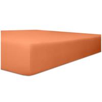 WäSCHEFABRIK KNEER E.K. Kneer Edel-Zwirn-Jersey Spannbetttuch für Matratzen bis 22 cm Höhe Qualität 20 Farbe karamel