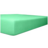 WäSCHEFABRIK KNEER E.K. Kneer Easy Stretch Spannbetttuch für Matratzen bis 30 cm Höhe Qualität 25 Farbe lagune