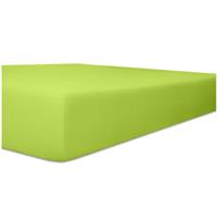 WäSCHEFABRIK KNEER E.K. Kneer Easy Stretch Spannbetttuch für Matratzen bis 30 cm Höhe Qualität 25 Farbe limone