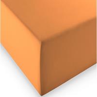 FLEURESSE Boxspring- und Wasserbetten Jersey-Spannlaken comfort XL Farbe 2044 orange - 