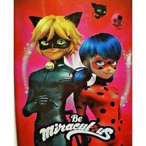 Miraculous Fleece-plaid Ladybug & Cat Noir 140 X 100 Cm Rood