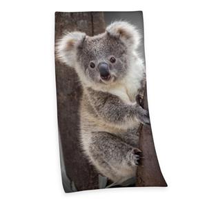 Herding Handtücher »Velourstuch Duschtuch Badetuch Strandtuch mit Koala 75 x 150cm«