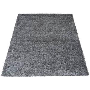Veer Carpets  Vloerkleed Buddy Antraciet 240 x 340 cm