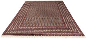 Morgenland Orientteppich Afghan - Buchara - 296 x 196 cm - mehrfarbig, rechteckig, 7 mm Höhe, Wohnzimmer, Handgeknüpft, Einzelstück mit Zertifikat