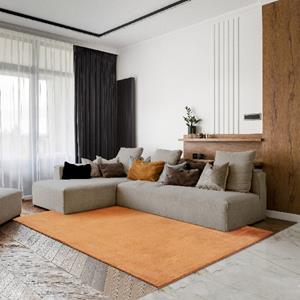 Merinos Karpet24 Loft modern pluizig laagpolig tapijt, antislip onderkant, wasbaar tot 30 graden, heerlijk zacht, bontlook, terra-80 x 150 cm