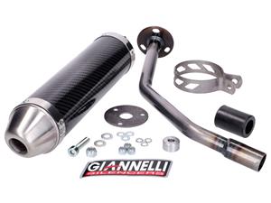 Giannelli Einddemper  Carbon voor Beta RR 50