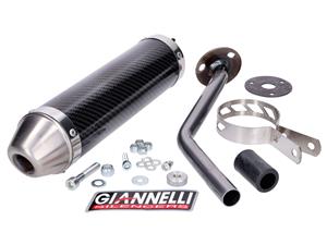 Giannelli Einddemper  Carbon voor Rieju MRX, SMX, RRX 50 02-03