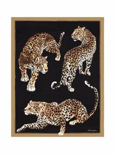 Dolce & Gabbana Deken met luipaardprint - Zwart