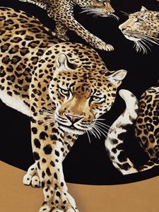 Dolce & Gabbana Plaid met luipaardprint - Bruin