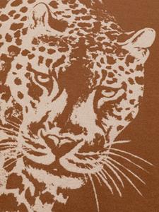Dolce & Gabbana Deken met luipaardprint - Bruin