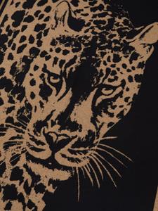 Dolce & Gabbana Deken met luipaardprint - Zwart