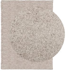 vidaXL Vloerkleed shaggy hoogpolig modern 300x400 cm beige