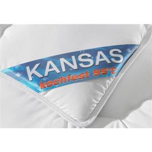 f.a.n. Schlafkomfort Microfaserbettdecke "Kansas", leicht, Füllung Polyesterfaser, Bezug 100% Polyester, (1 St.)