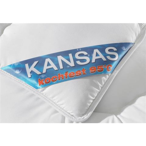 f.a.n. Schlafkomfort Microfaserbettdecke + Kopfkissen "Kansas", (Spar-Set)