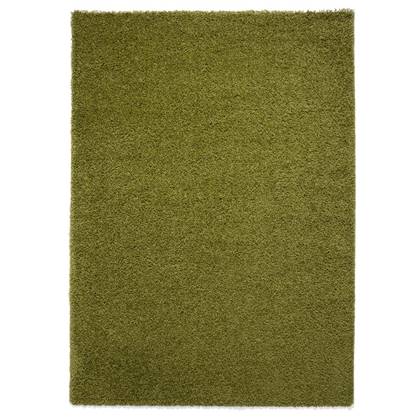Tapeso Hoogpolig vloerkleed shaggy Trend effen - groen - 100x100 cm