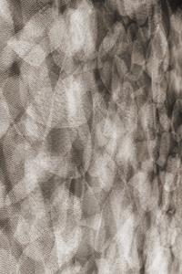 Moooi Carpets  Vloerkleed Flowing Petals Soft Yarn -