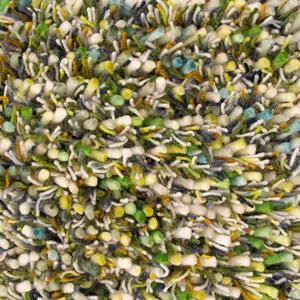 Brink en Campman  Vloerkleed Spring Evergreen 059107 - 250x350