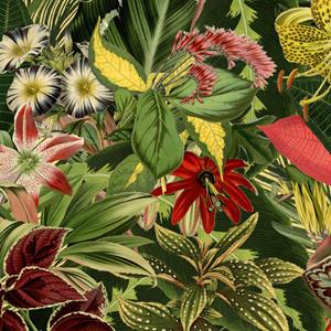 Moooi Carpets  Copy of Vloerkleed Herbarium of Extincts Plants Square Wool - 250x250 cm