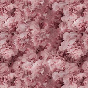 Moooi Carpets  Laagpolig Vloerkleed Mooi Carpets Hortensia Square Pink Wool -