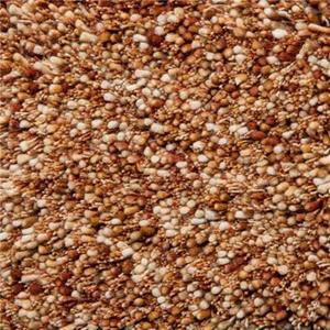 Vloerkleed Salsa Copper Gold 502 170x230