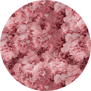 Moooi Carpets  Rond Vloerkleed Hortensia Pink Rond Low Pile -