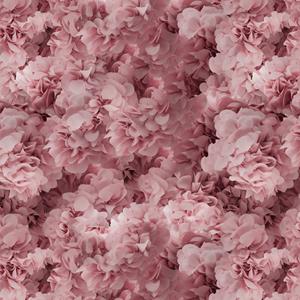 Moooi Carpets  Laagpolig Vloerkleed Mooi Carpets Hortensia Square Pink Low Pile -