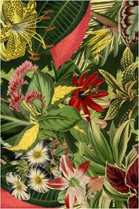 Moooi Carpets  Vloerkleed Herbarium of Extincts Plants Rectangle Wool - 200x300 cm