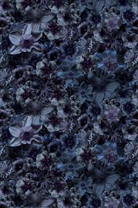 Moooi Carpets  Laagpolig Vloerkleed Flowergarden Rectangle Night Wool - 200x300 cm