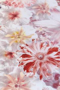 Moooi Carpets  Laagpolig Vloerkleed Flowergarden Rectangle Wool - 200x300 cm