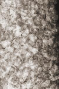 Moooi Carpets  Vloerkleed Lying Petals Soft Yarn -