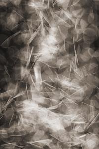 Moooi Carpets  Vloerkleed Falling Petals Soft Yarn -