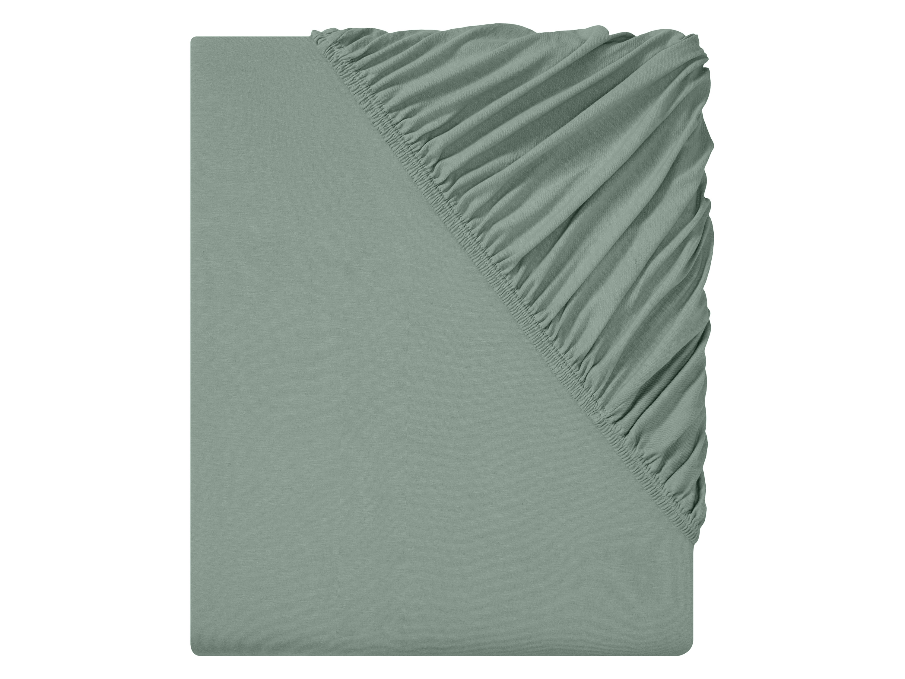 Livarno home Jersey hoeslaken 140-160 x 200 cm (Groen)