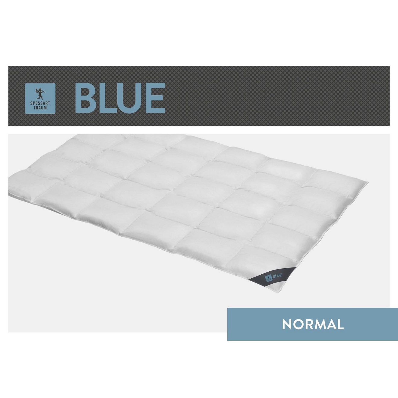 SPESSARTTRAUM Donzen dekbed Blauw geproduceerd in duitsland, geschikt voor mensen met allergieën Warm