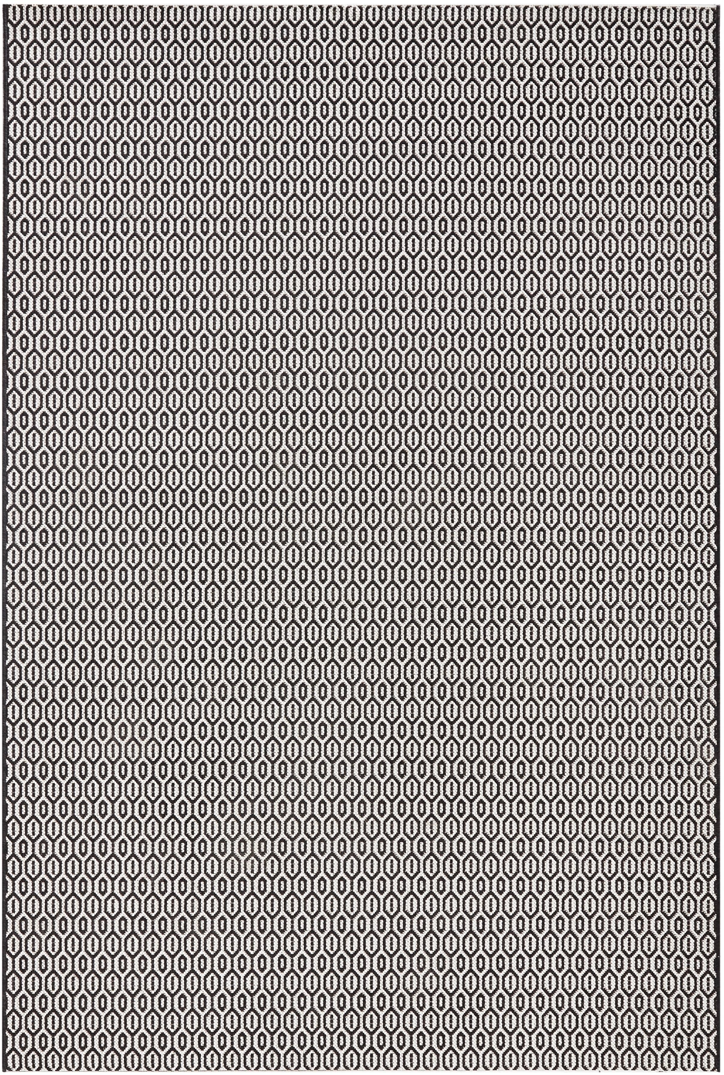 Northrugs Vloerkleed Coin in- & outdoor | 